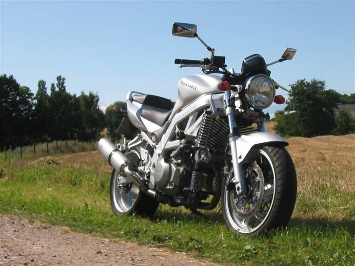 Suzuki SV 1000 N billede 4