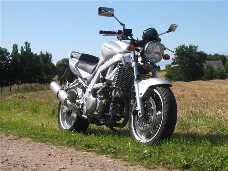 Suzuki SV 1000 N billede 5