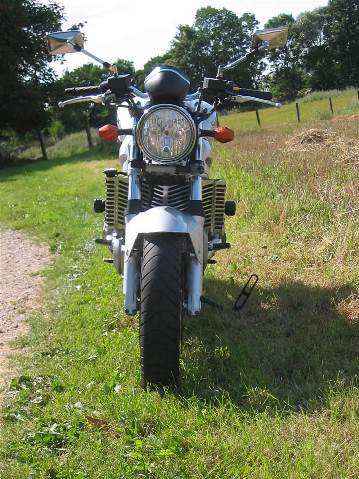 Suzuki SV 1000 N billede 6