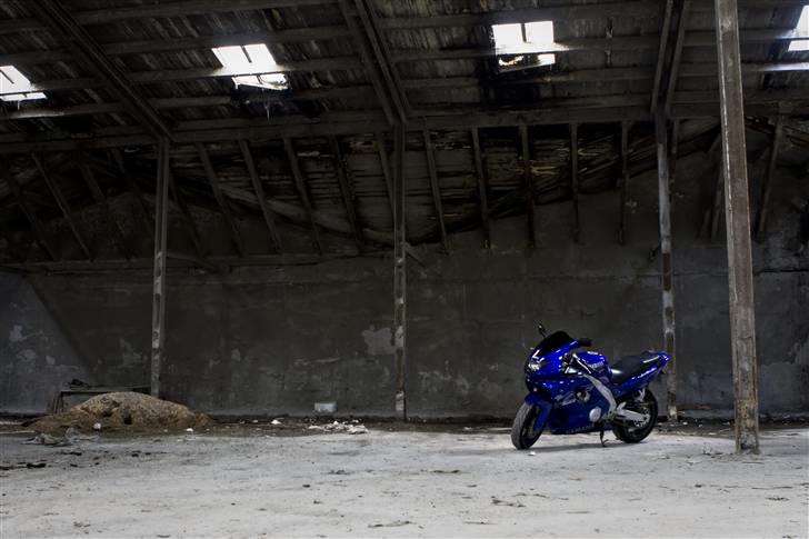 Yamaha YZF 600 R THUNDERCAT billede 10