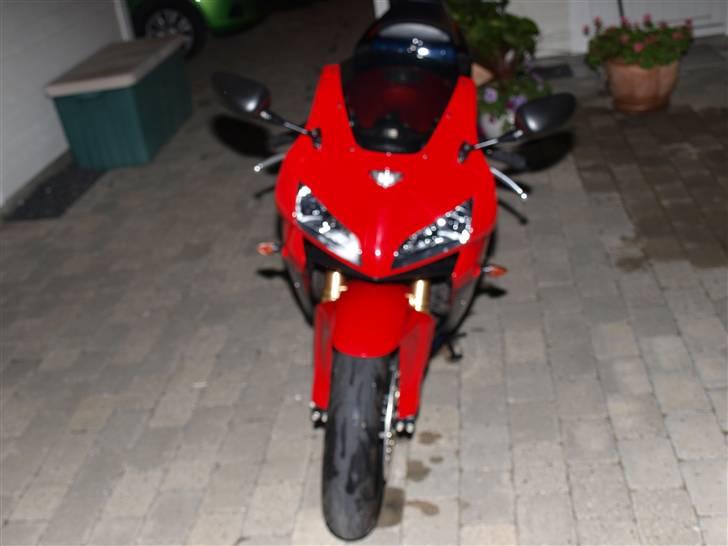 Honda CBR 600RR billede 3