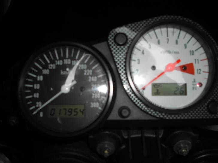 Suzuki TL 1000 R billede 7