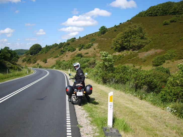 Aprilia Pegaso 650 ie - Den danske natur er dejlig, bakker og snogede veje :D billede 10