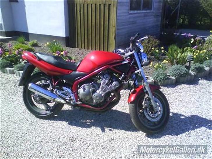 Yamaha Xj 600 N billede 18