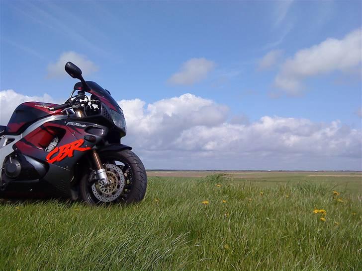 Honda Cbr 900 fireblade billede 5