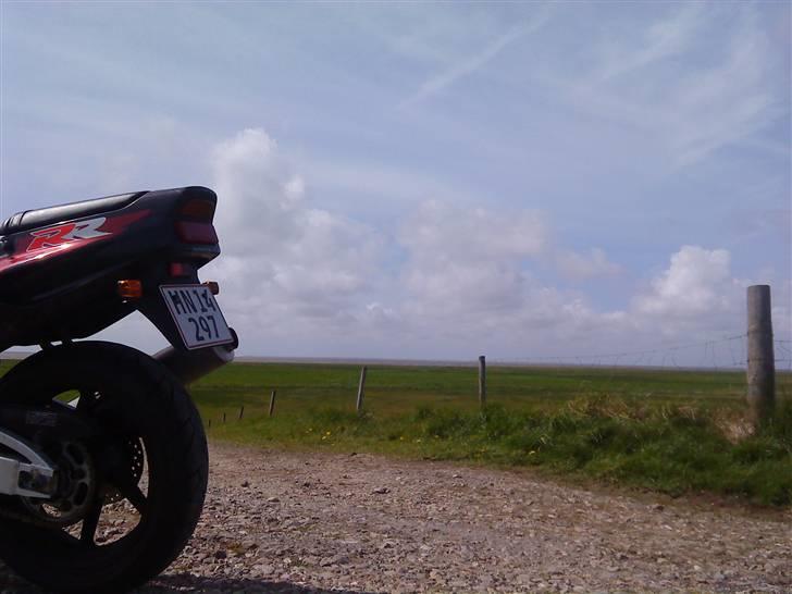 Honda Cbr 900 fireblade billede 6
