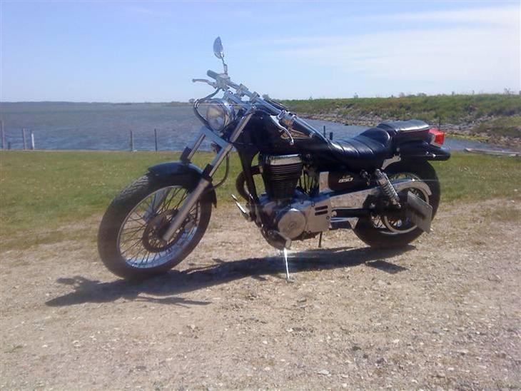 Suzuki LS savage 650 billede 1