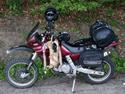 Aprilia Pegaso