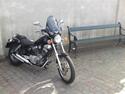 Yamaha XV 250 Virago (Type 3LS)