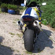 Suzuki TL1000R
