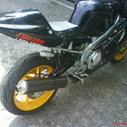 Honda CBR 600 F3 