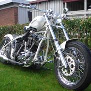 Harley Davidson EL