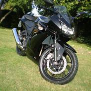 Kawasaki Ninja 250 R 2009