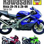 Kawasaki Ninja zx9r