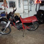 Honda xl250r