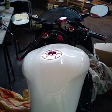 Yamaha YZF R6 RJ03