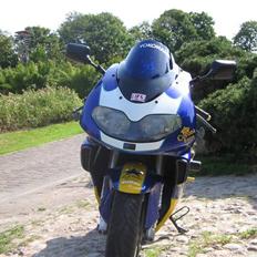 Suzuki TL1000R