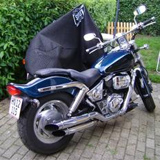 Suzuki vz 800  marauder