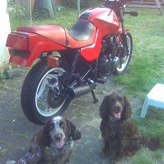Suzuki Katana Gs 650 g