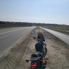 Yamaha XV 250 Virago (Type 3LS)