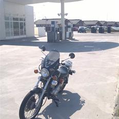 Yamaha XV 250 Virago (Type 3LS)