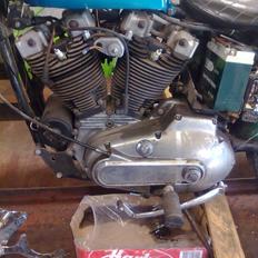 Harley Davidson sportster