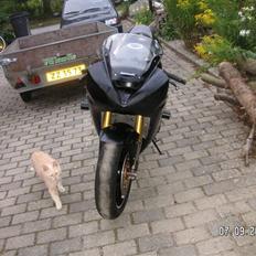 Kawasaki zx6-rr    SOLGT