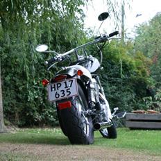 Suzuki Ls 650 Savage