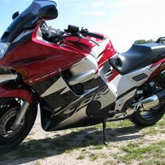 Honda CBR 1000F SC24 Dual Brake
