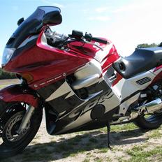Honda CBR 1000F SC24 Dual Brake