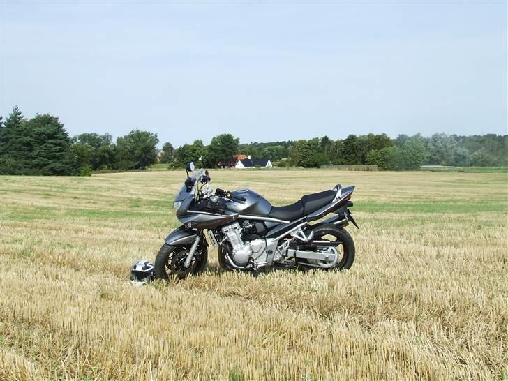 Suzuki GSF650S (Solgt) billede 1