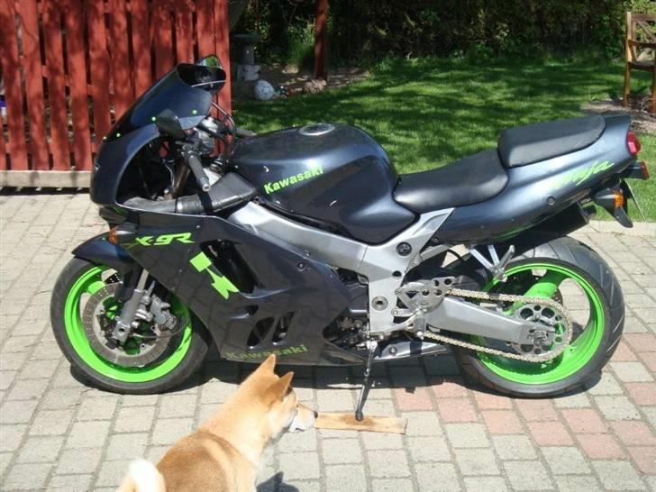 Kawasaki zx9r billede 14