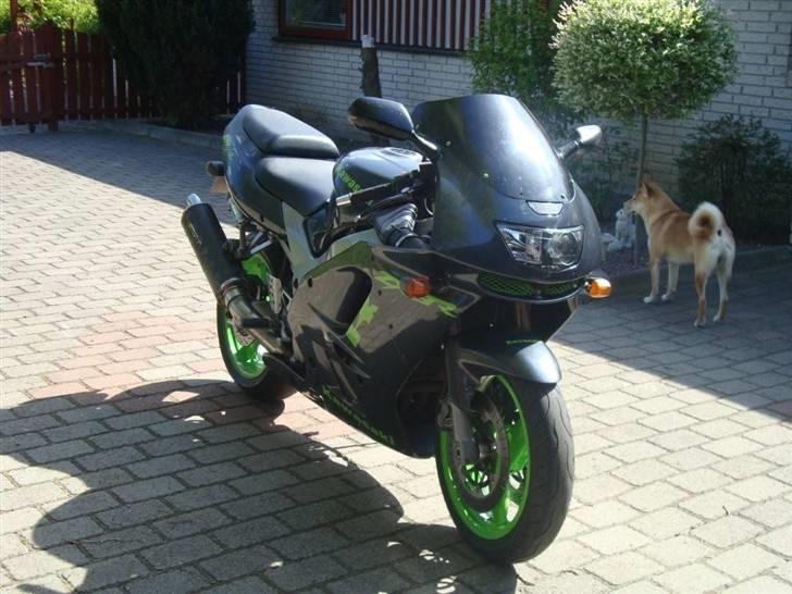 Kawasaki zx9r billede 2
