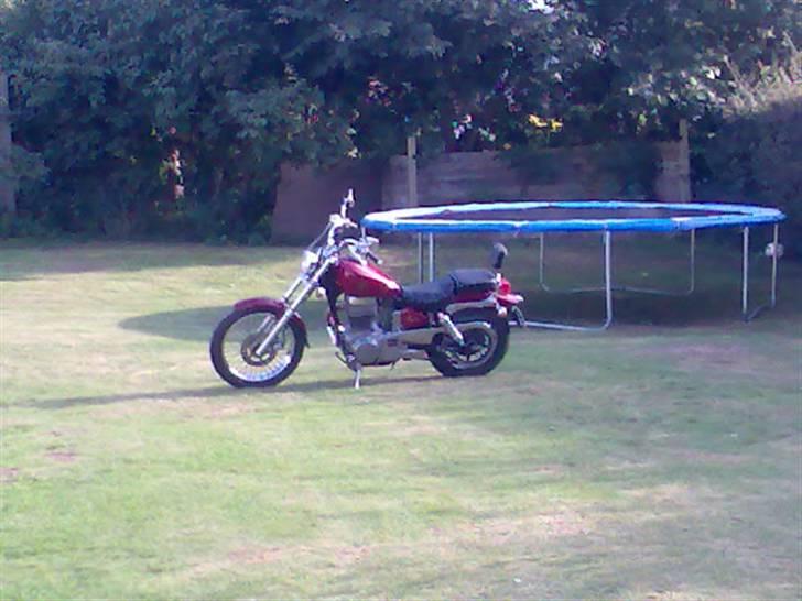 Suzuki LS 650 SAVAGE billede 3