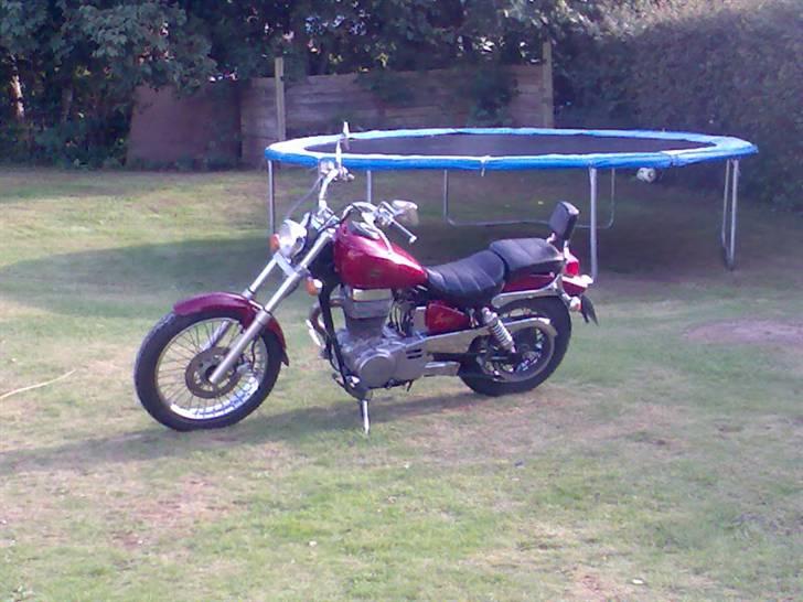 Suzuki LS 650 SAVAGE billede 4