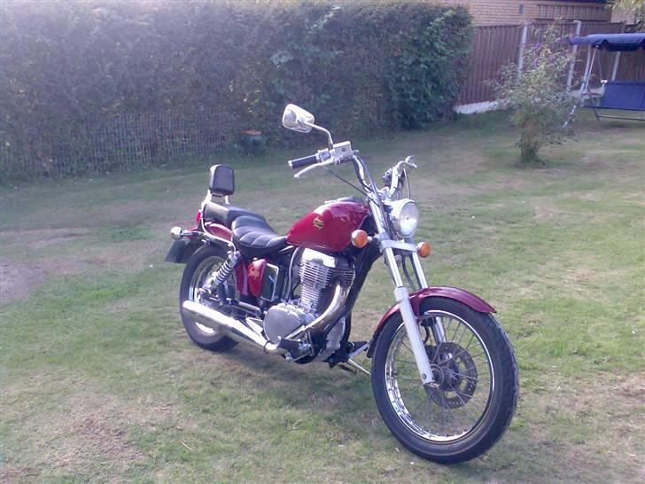 Suzuki LS 650 SAVAGE billede 5