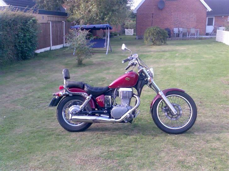 Suzuki LS 650 SAVAGE billede 6