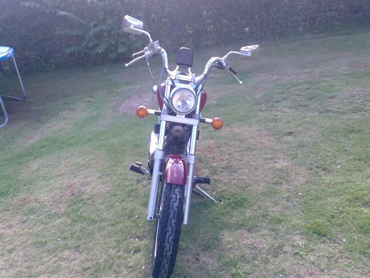 Suzuki LS 650 SAVAGE billede 9