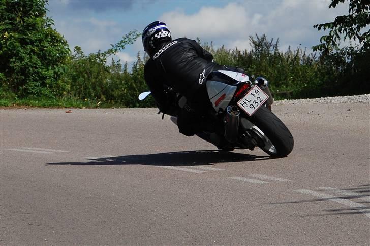 Suzuki TL1000R billede 20