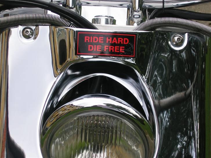 Suzuki 1500 billede 10
