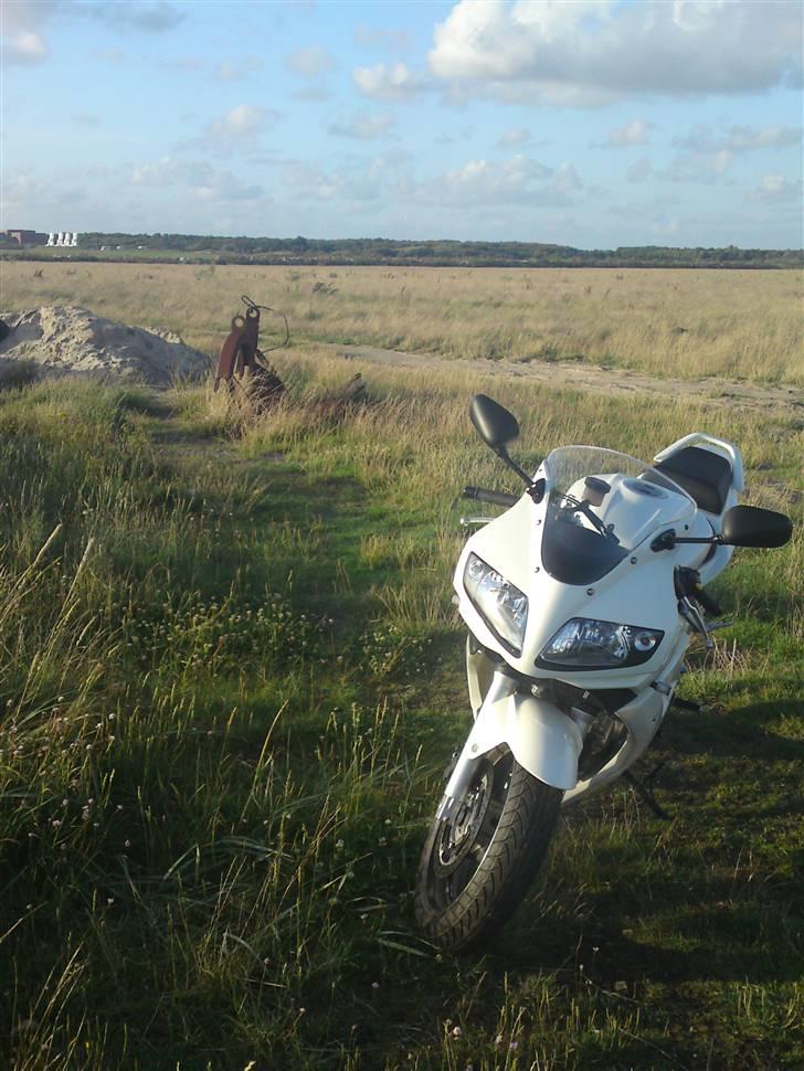 Suzuki sv650sa(ABS) billede 2