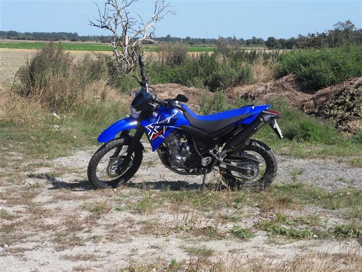 Yamaha XT660R billede 1
