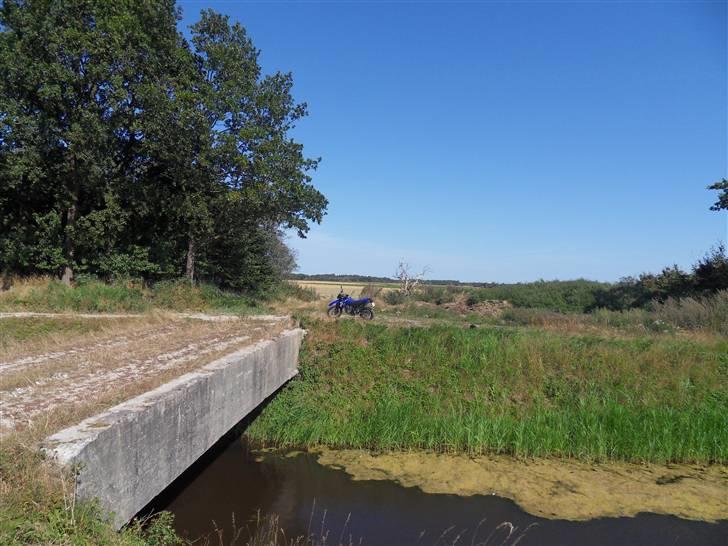 Yamaha XT660R billede 2