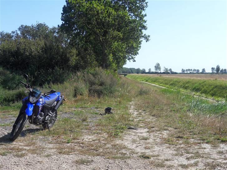 Yamaha XT660R billede 3