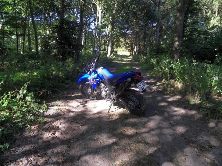 Yamaha XT660R billede 6