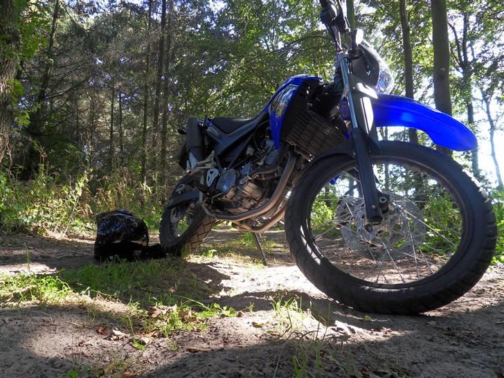 Yamaha XT660R billede 7