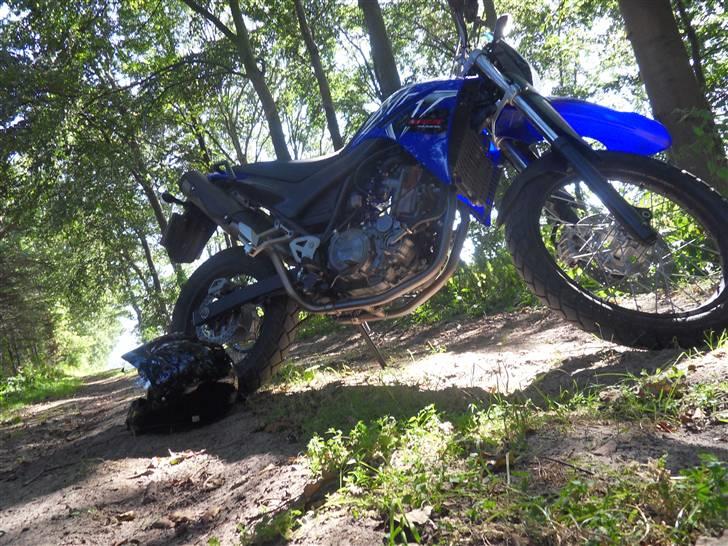 Yamaha XT660R billede 8
