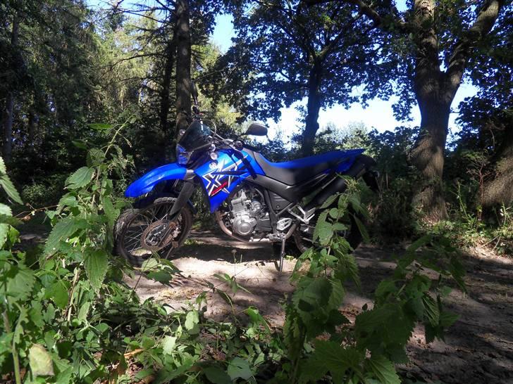 Yamaha XT660R billede 10