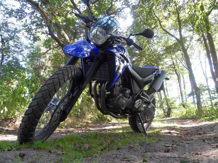 Yamaha XT660R billede 11