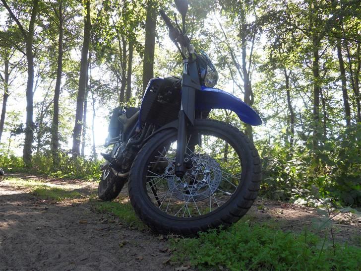 Yamaha XT660R billede 12